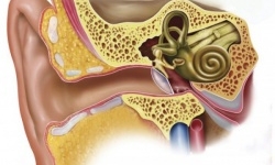 Российские врачи научились восстанавливать слух и лечить болезнь Меньера