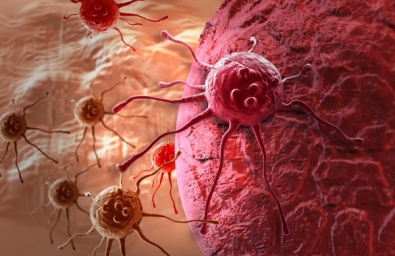 Ученые нашли новый метод борьбы с раком – витамин B2