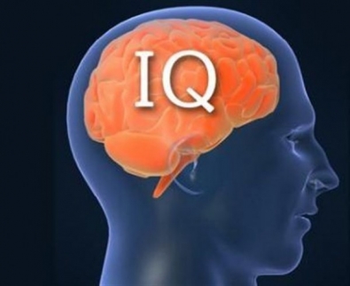 Британские ученые: Молодость человека продлевает высокий IQ 
